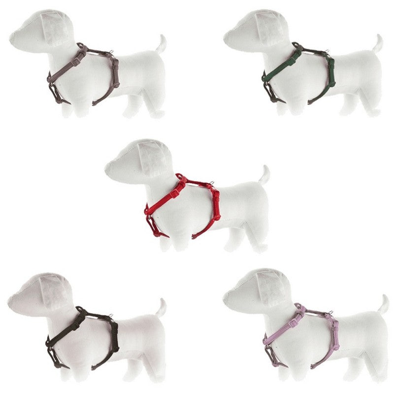 Animal Love Pet Shop