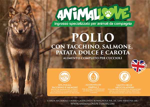 ANIMALOVE Crocchette Grain Free Puppy Pollo con Tacchino, Salmone,Patata Dolce E Carote per Cuccioli 12 kg
