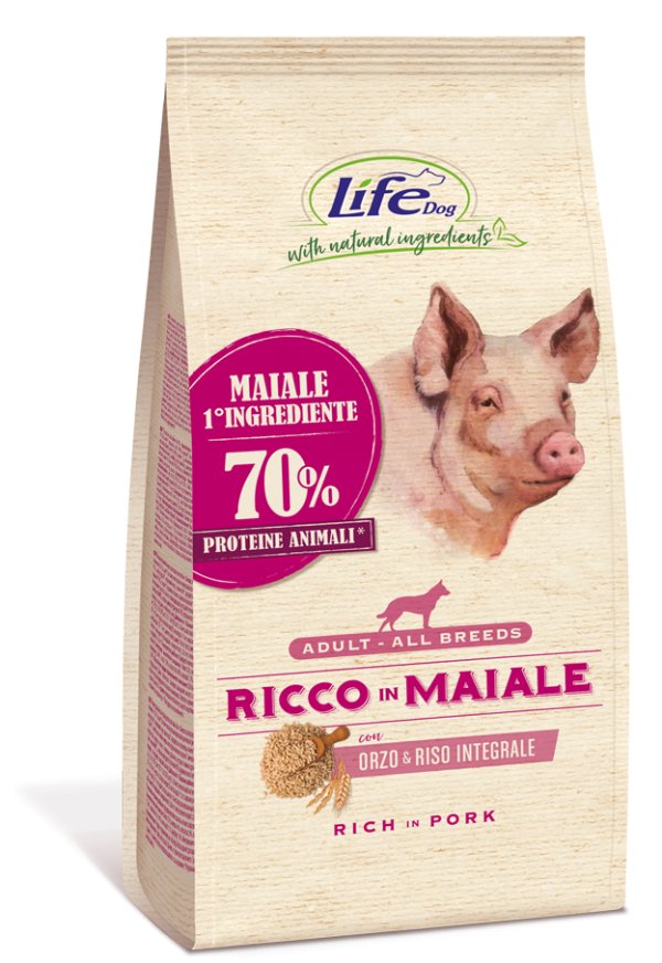 I migliori cappottini per cani - The Pet Life